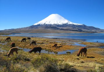 Climbing Parinacota Mountain Bolivia